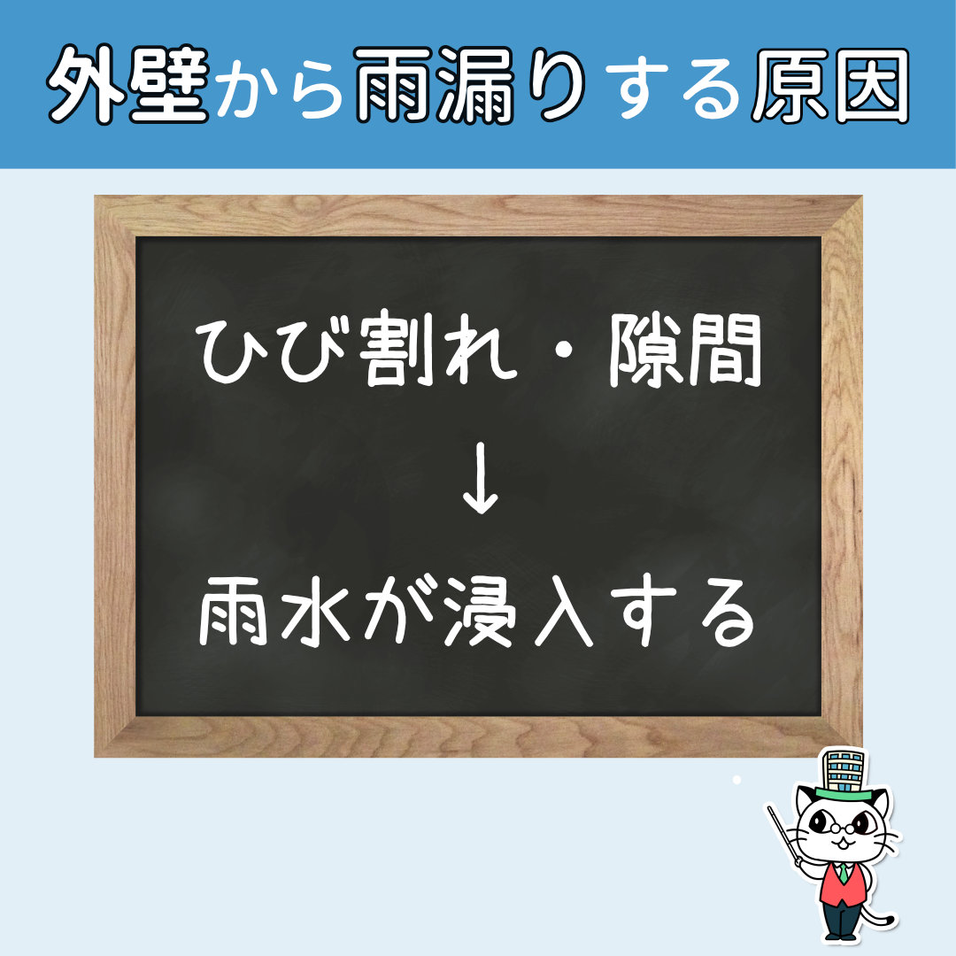 外壁の雨漏り 放置するとシロアリの原因に 応急処置は